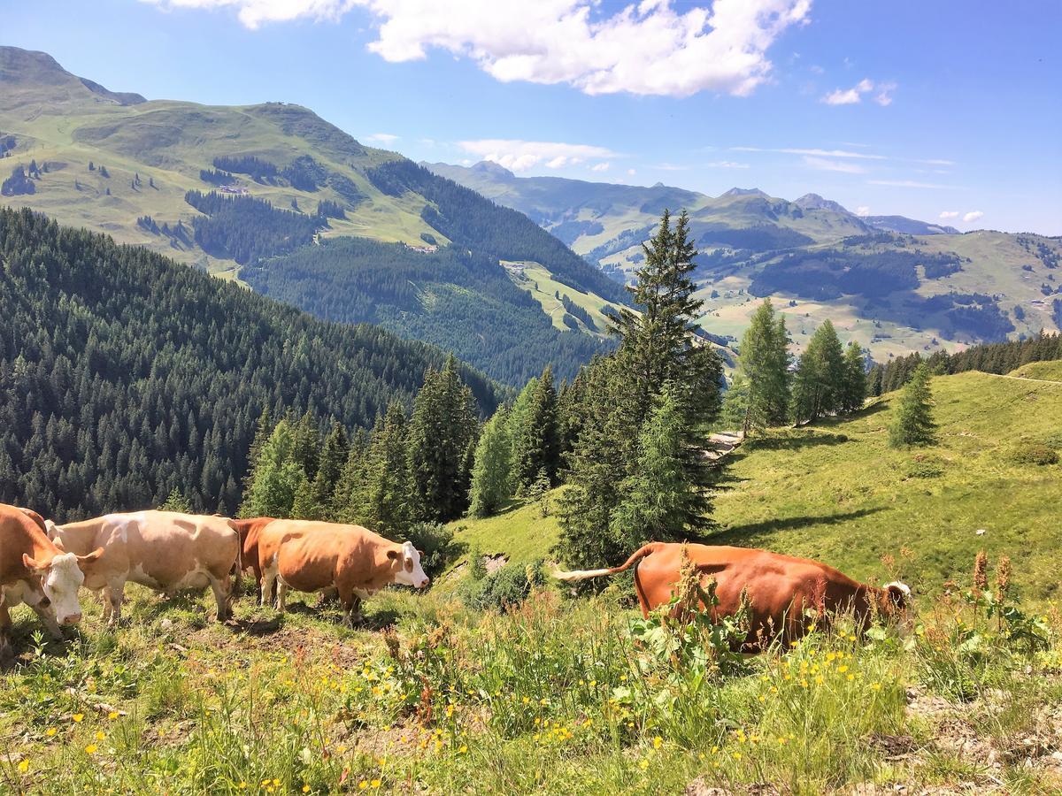 Am Zwoelferkogel Appartements Saalbach-Hinterglemm Exterior foto