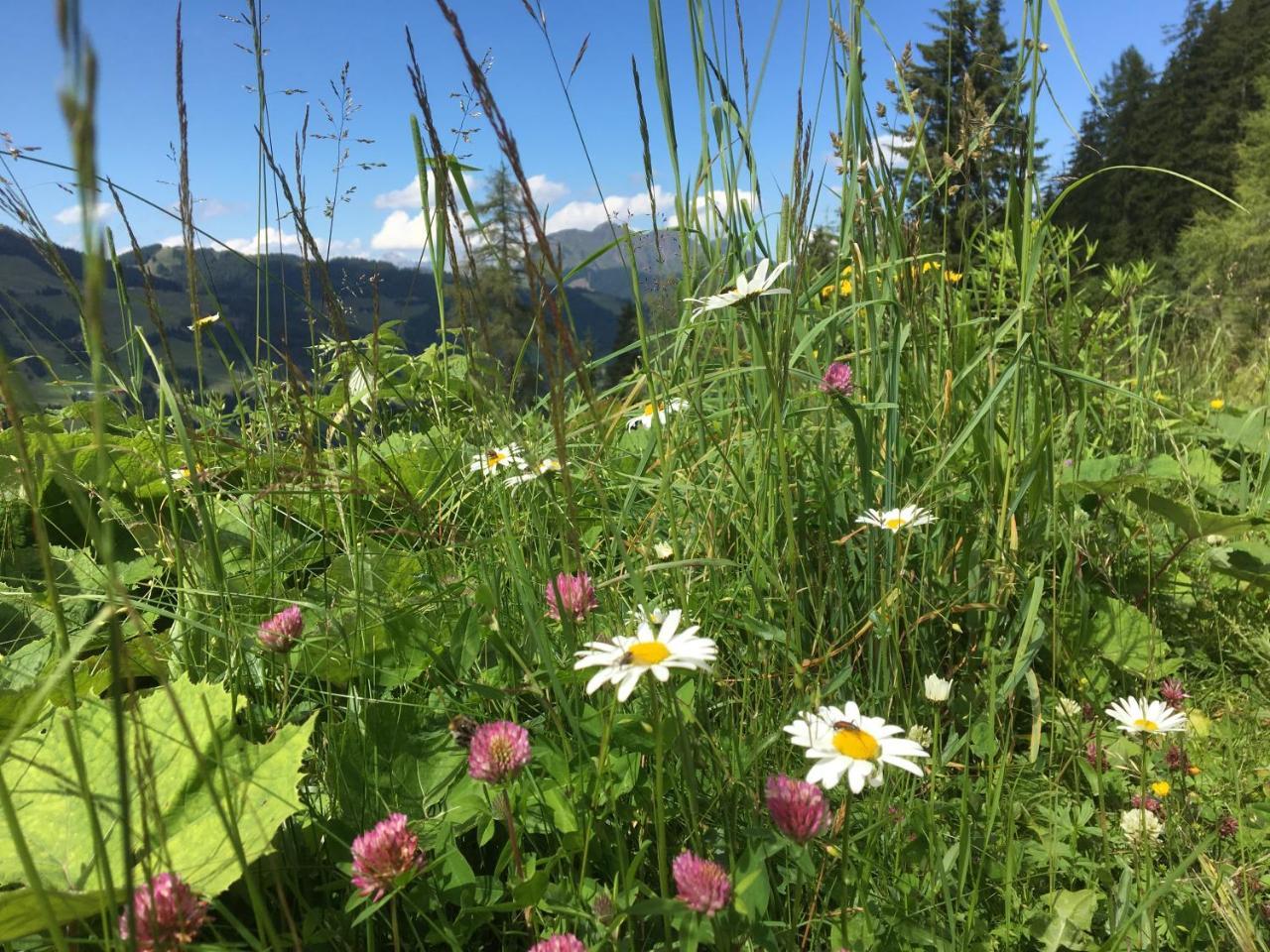 Am Zwoelferkogel Appartements Saalbach-Hinterglemm Exterior foto